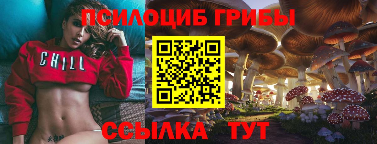 Галлюциногенные грибы ЛСД  Псилоцибиновые грибы прущие грибы  Вход с VPN  Отрадное 